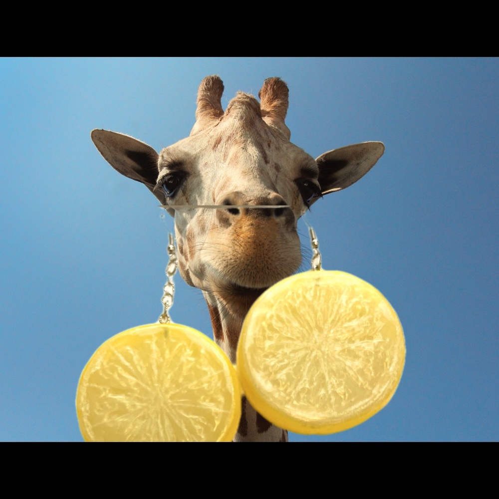 Handmade Lemon Slice Dangling Earrings